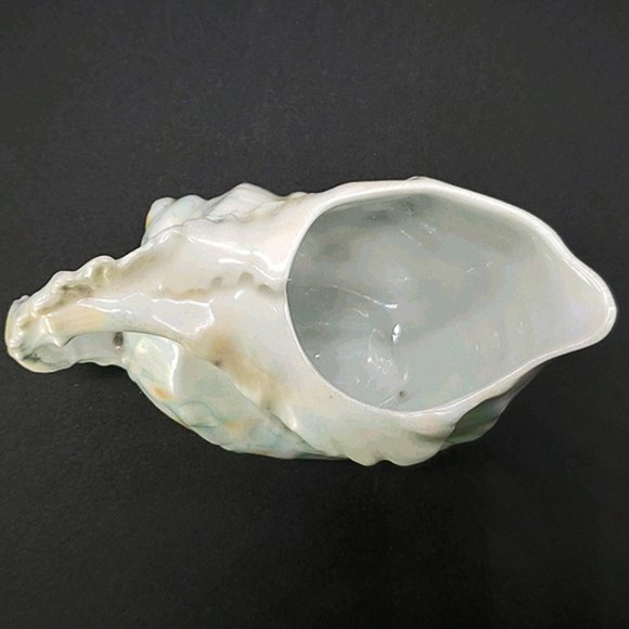 Royal Bayreuth Nautilus Shell Creamer/Sugar Luster - Picture 7 of 13